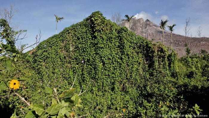 &quot;Desa Hantu&quot; di kaki Gunung Sinabung