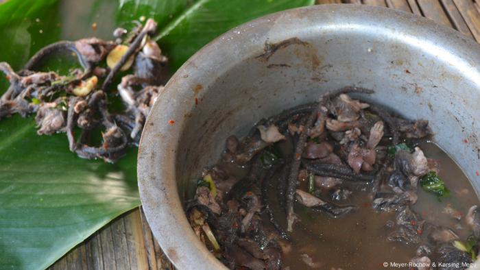 Ada Tradisi Makan Tikus di India