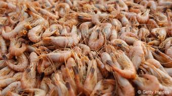 {Negara Mesum&#93; Australia-AS Mata-Matai Bisnis Udang dan Tembakau Indonesia?