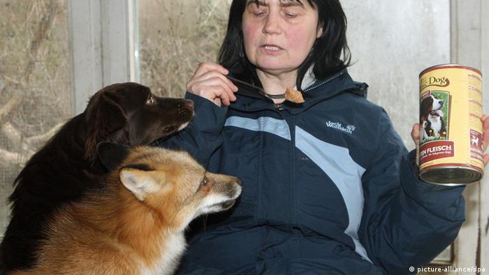 Persahabatan di Dunia Hewan