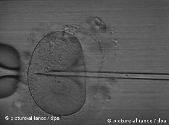 Misteri Perawan Melahirkan di AS