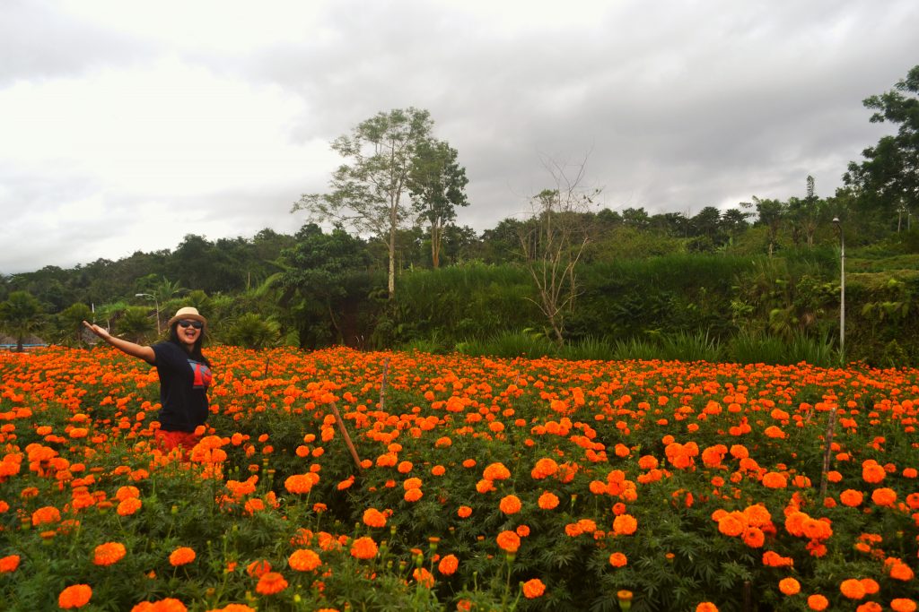 Ingin Foto Berlatar Bunga? Kunjungi 6 Taman Ini