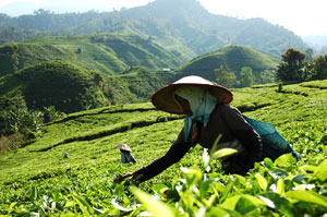 new-pesona-alam-kota-angin-dan-mangga-di-jawa-timur