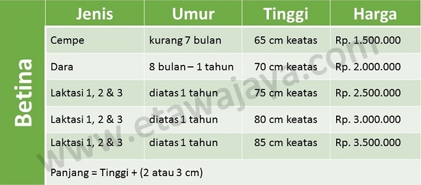 96089474diskusi94749608-investasi-emas---part-8