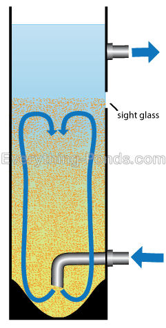 cara-budidaya-ikan-nila-yang-baik