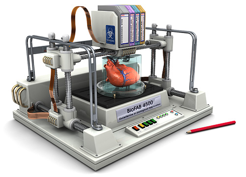 3D bio printer, printer yang bisa mencetak organ tubuh manusia