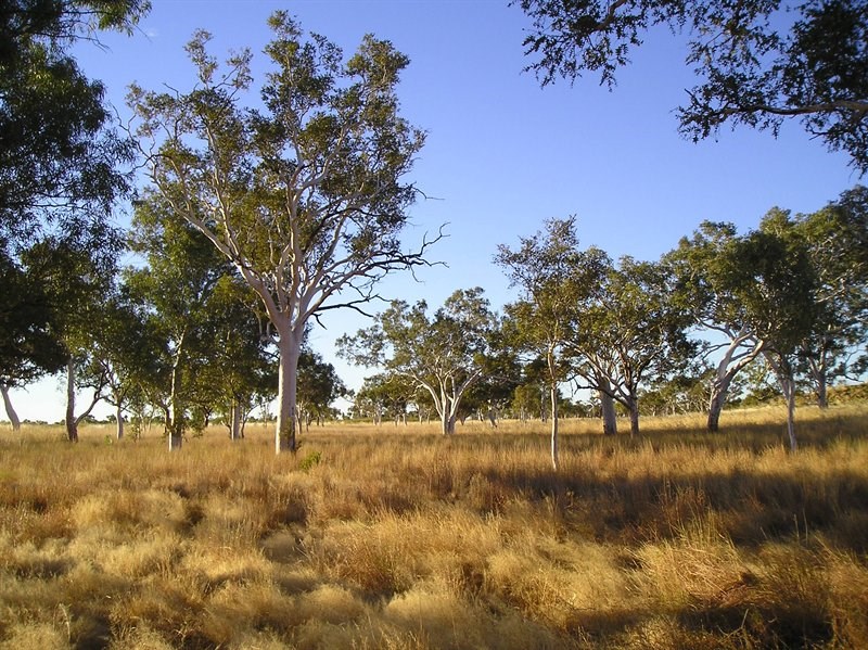 Rudall River National Park,Australia (+Full Pict)