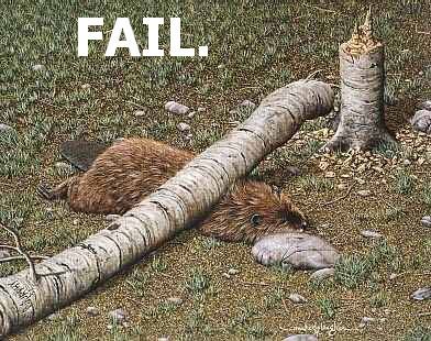 All failed #3