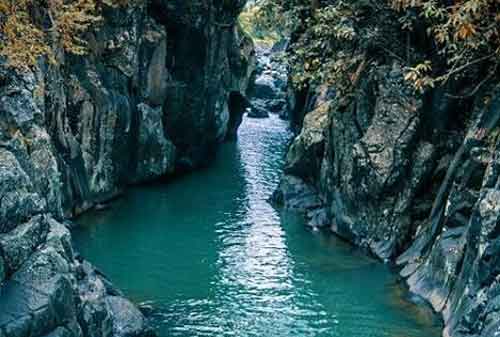 Mau Liburan ke Kota Hujan? Ini Dia 10 Tempat Wisata Bogor yang Harus Dikunjungi