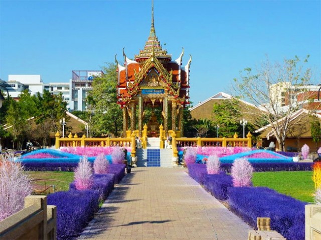 &#91;PIC&#93; Colourful Campus of Thailand (Tanamannya diwarnai gan)