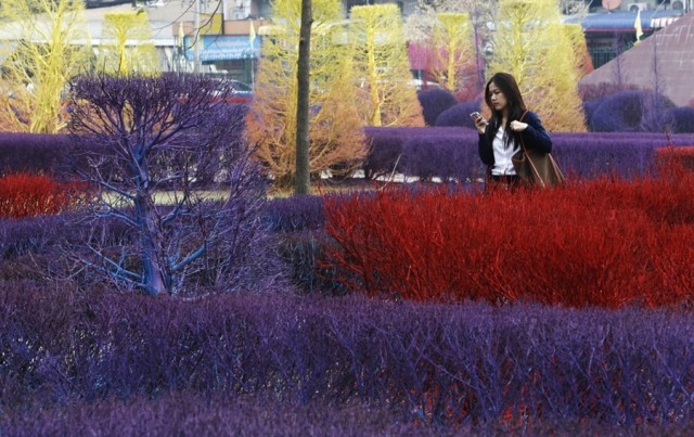 &#91;PIC&#93; Colourful Campus of Thailand (Tanamannya diwarnai gan)