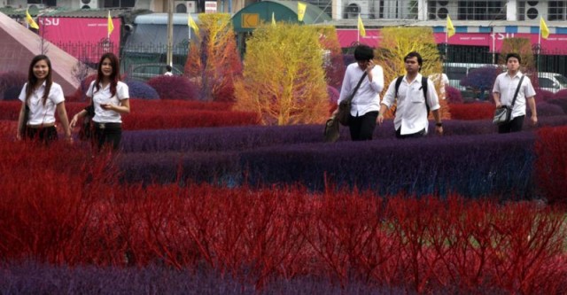 &#91;PIC&#93; Colourful Campus of Thailand (Tanamannya diwarnai gan)