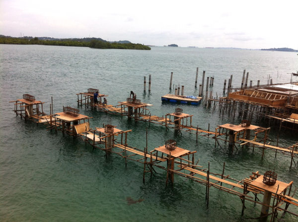 FUNTASY ISLAND, Eco Green Park Terbesar di dunia ada di Batam, Indonesia 