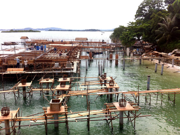 FUNTASY ISLAND, Eco Green Park Terbesar di dunia ada di Batam, Indonesia 