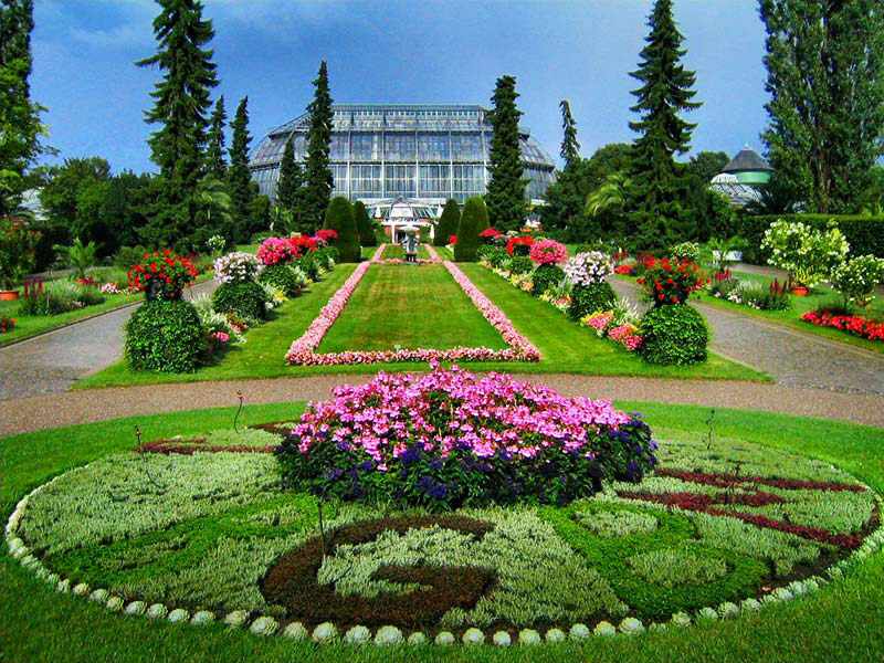 Pameran koleksi tanaman karnivora [Berlin-Dahlem Botanical Garden]