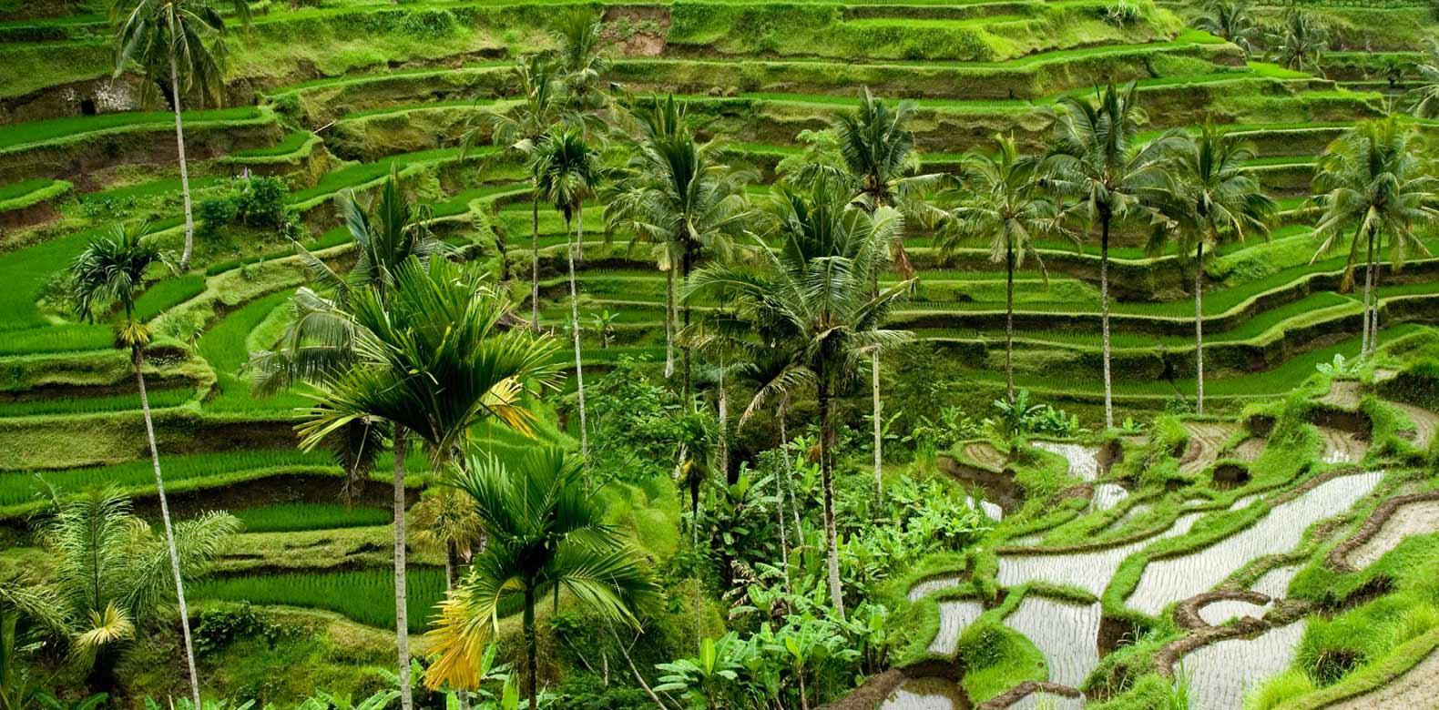 Jalan-jalan ke Air Terjun Kedung Kandang di GunungKidul Jogja Yuk!