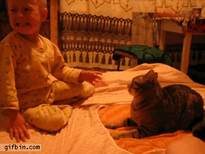 tips-memperkenalkan-kucing-dengan-anak-bayi-yang-baru-lahir