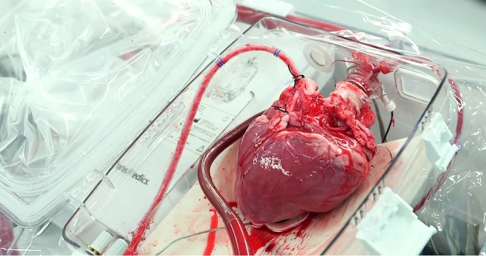 Para Dokter ini Mengubah Dunia dengan Teknologi Temuannya