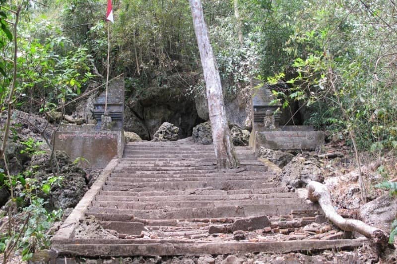 Menjelajah Alas Purwo, Hutan Terseram Di Timur Pulau Jawa Yang Kaya Wisata