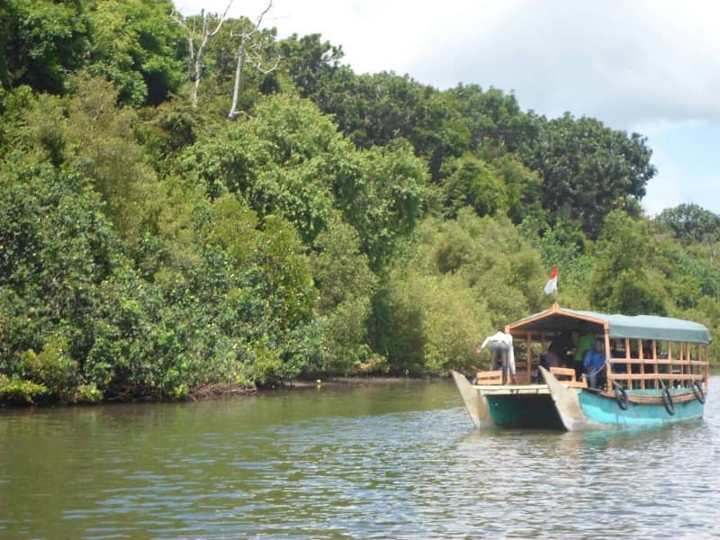 Menjelajah Alas Purwo, Hutan Terseram Di Timur Pulau Jawa Yang Kaya Wisata