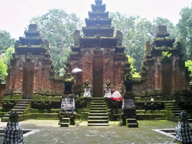Menjelajah Alas Purwo, Hutan Terseram Di Timur Pulau Jawa Yang Kaya Wisata