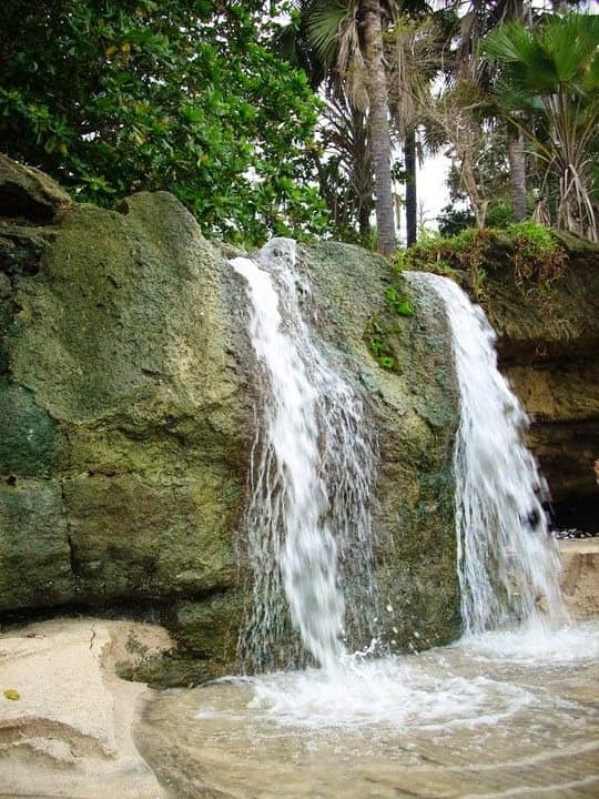 Menjelajah Alas Purwo, Hutan Terseram Di Timur Pulau Jawa Yang Kaya Wisata