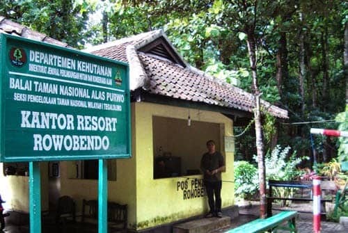 Menjelajah Alas Purwo, Hutan Terseram Di Timur Pulau Jawa Yang Kaya Wisata