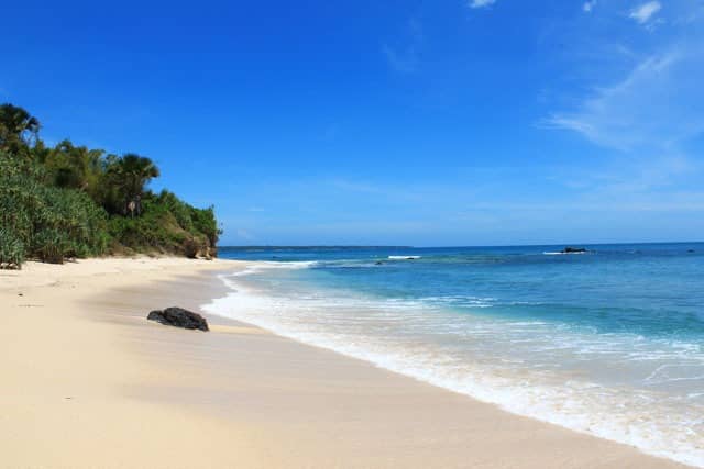 Menjelajah Alas Purwo, Hutan Terseram Di Timur Pulau Jawa Yang Kaya Wisata