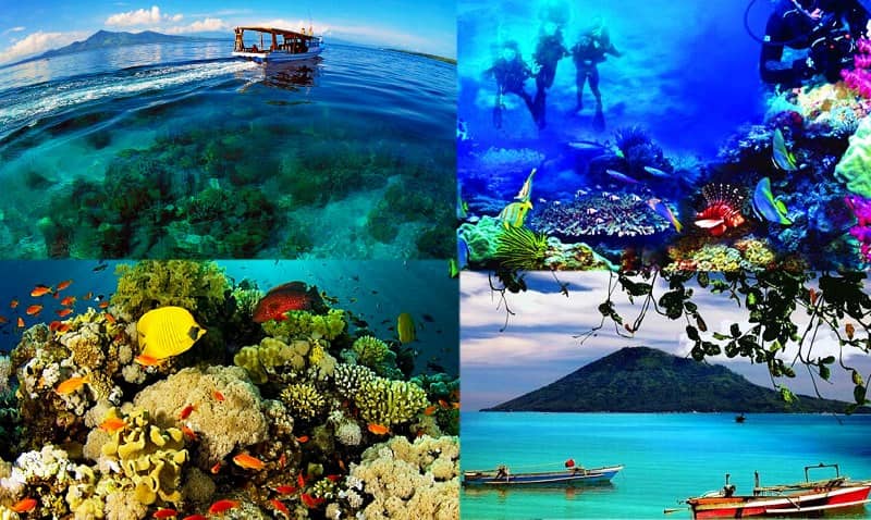 &#91;Coc Reg. Manado&#93; Taman Nasional Bunaken, Wisata Alam Bawah Laut Nan Cantik Jelita