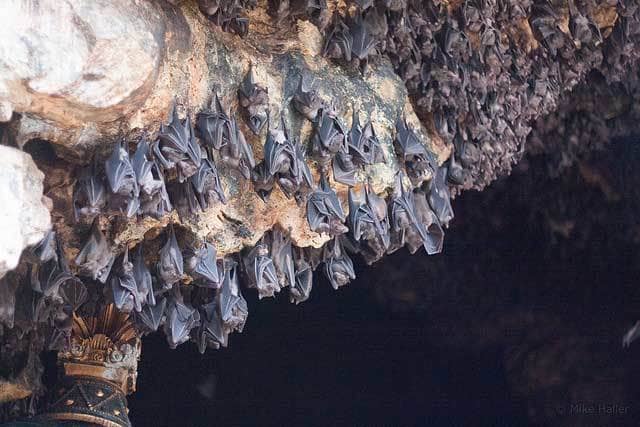 10 TEMPAT PALING ANGKER DI BALI DAN SEJARAHNYA