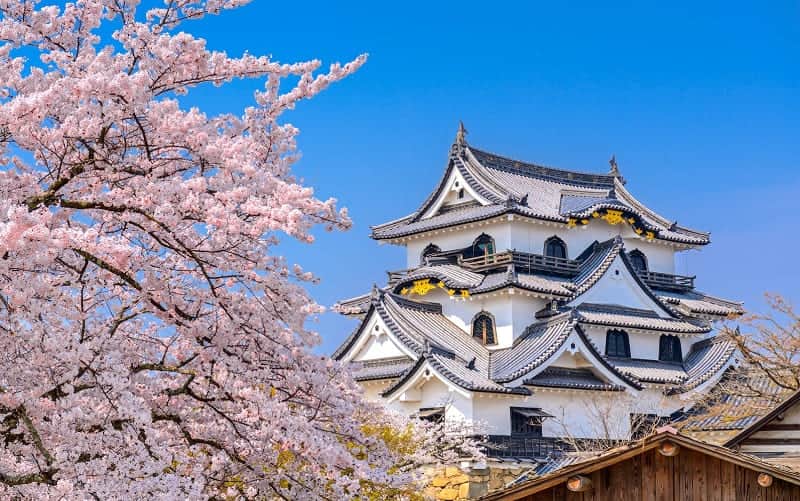 10 ISTANA TERKENAL DAN MENJADI TEMPAT WISATA DI JEPANG