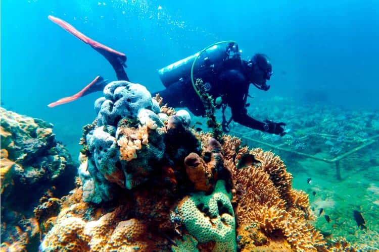 10 PANTAI TERKENAL DI BANYUWANGI, CAKEPNYA NGGAK KALAH SAMA BALI