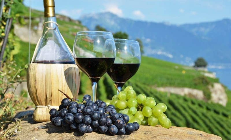 wine-lover-yuk-jelajahi-10-kebun-anggur-terbaik-di-dunia