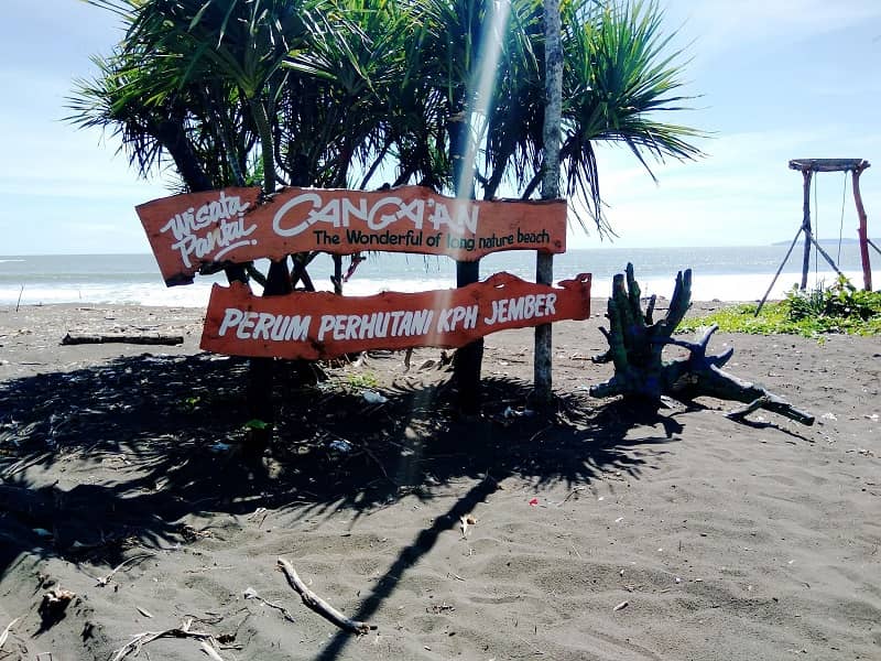 10 PANTAI DI JEMBER, CAKEPNYA NGGAK KALAH SAMA BALI LHO