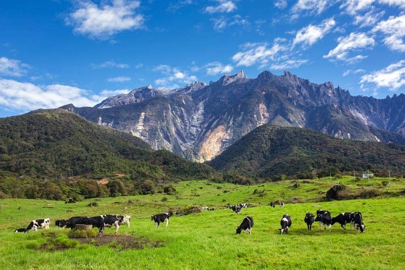 10 TEMPAT WISATA KINABALU PESONANYA BIKIN HALU