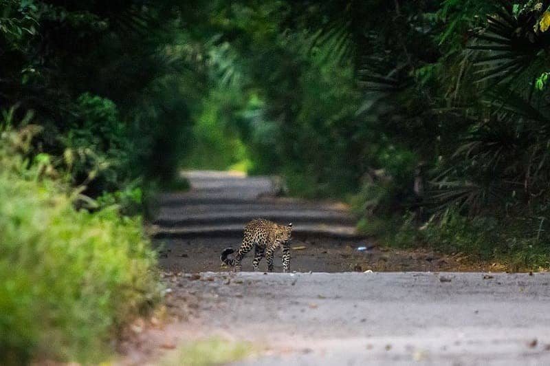 10 SPOT WISATA DI BALURAN YANG TAK BANYAK ORANG KETAHUI