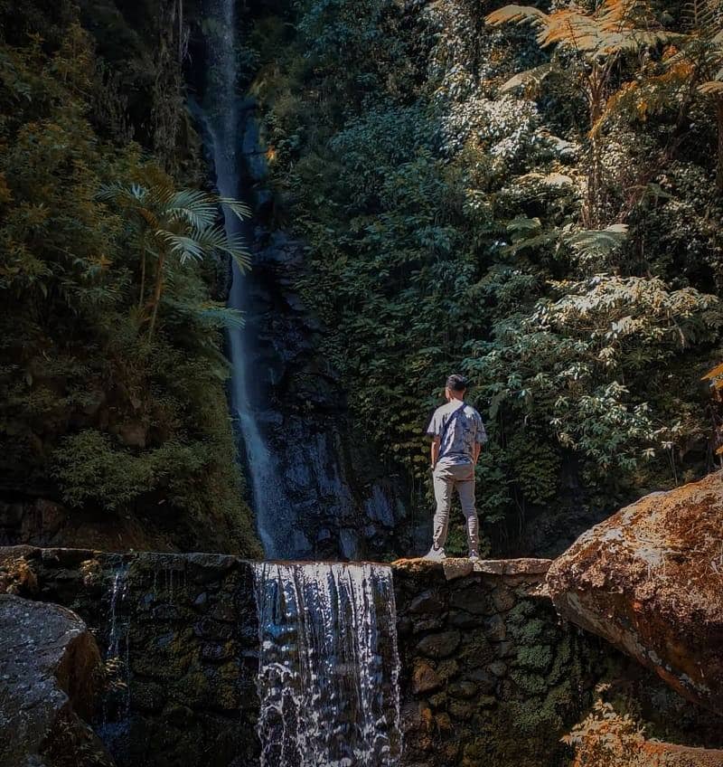 10 WISATA ALAM DI SOLO, AIR TERJUN HINGGA HUTAN INSTAGENIC