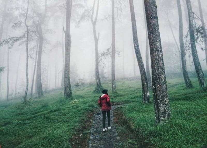 10 WISATA ALAM DI SOLO, AIR TERJUN HINGGA HUTAN INSTAGENIC