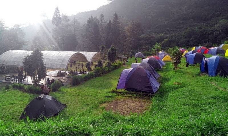 13 LOKASI CAMPING DI PUNCAK YANG SEJUK DENGAN PEMANDANGAN CAKEP