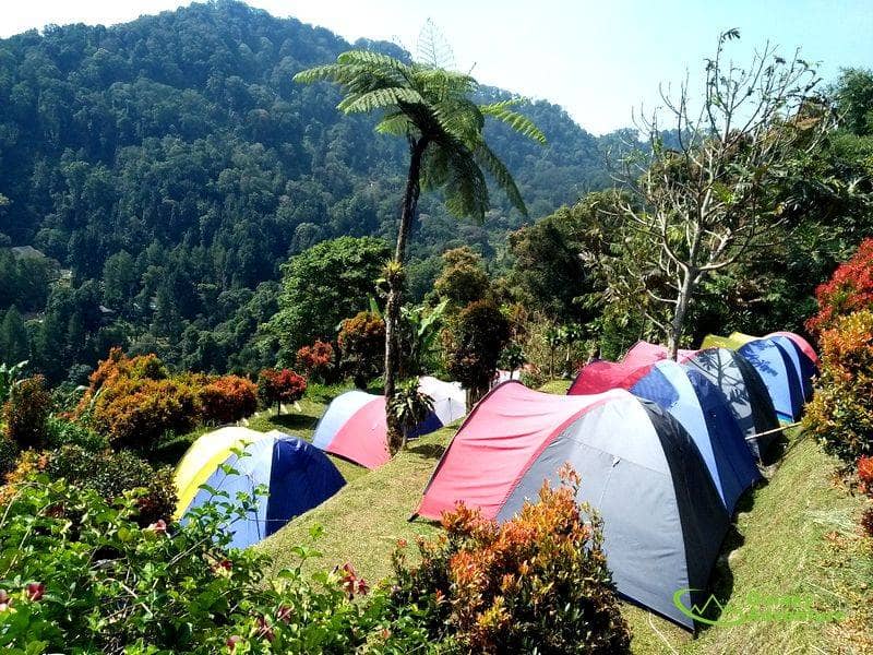 13 LOKASI CAMPING DI PUNCAK YANG SEJUK DENGAN PEMANDANGAN CAKEP