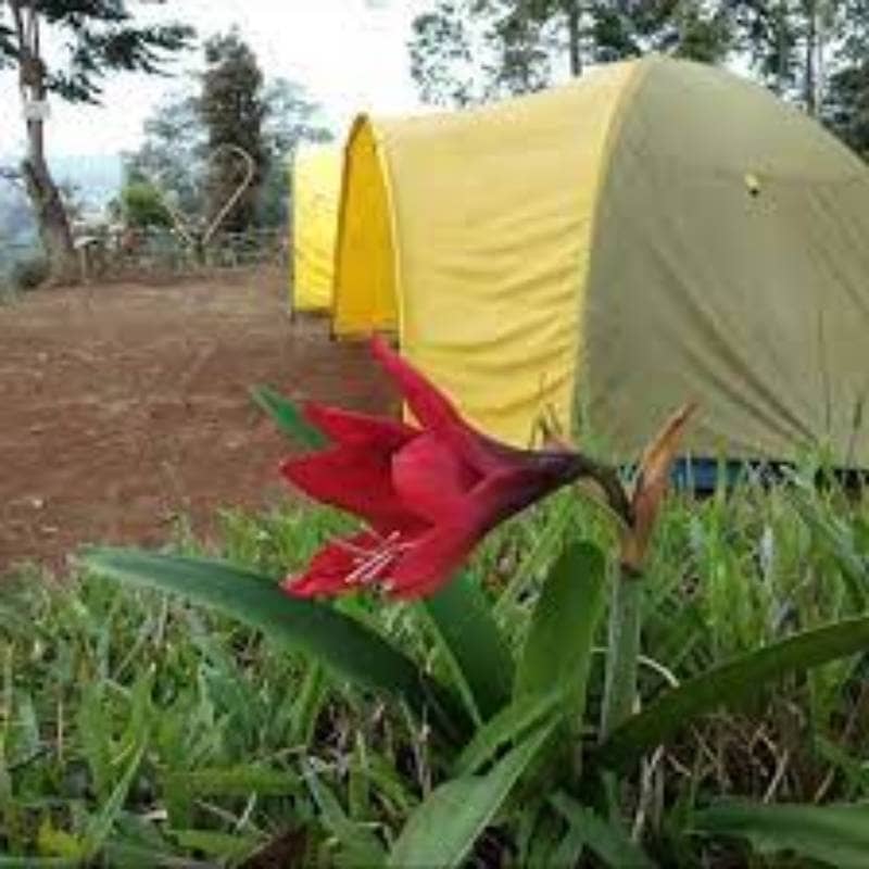 13 LOKASI CAMPING DI PUNCAK YANG SEJUK DENGAN PEMANDANGAN CAKEP