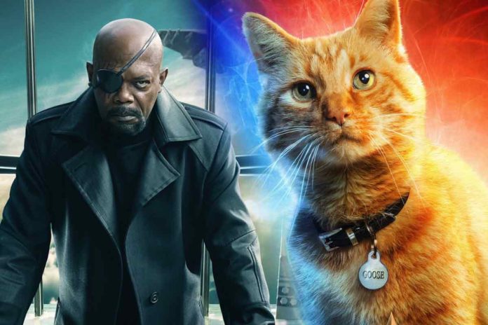  Fakta Tentang Goose Si Kucing Alien di Captain Marvel !