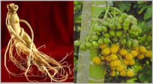 Bandrek Spesial Hanjuang Minuman Khusus Dewasa Untuk Meningkatkan Vitalitas