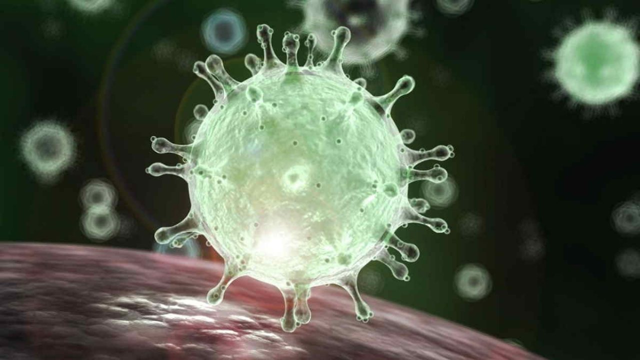 [Penting] Virus corona terlalu dimainkan