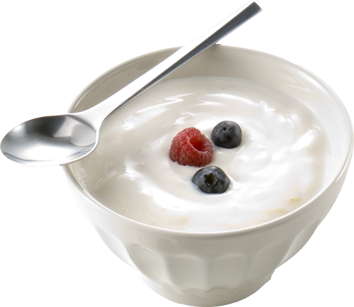manfaat bakteri yogurt