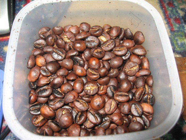 Kopi Luwak Asli 100% Murah
