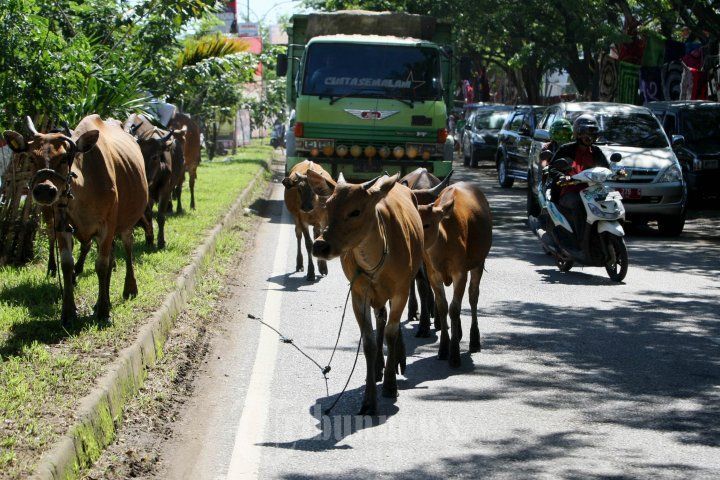 15 Bandara Paling Mendebarkan Di Dunia