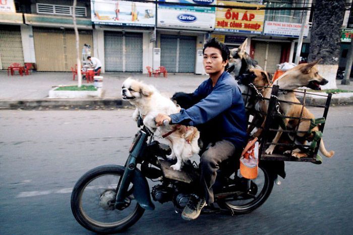 Kocak! Kompilasi Foto Sepeda Motor Kelebihan Muatan