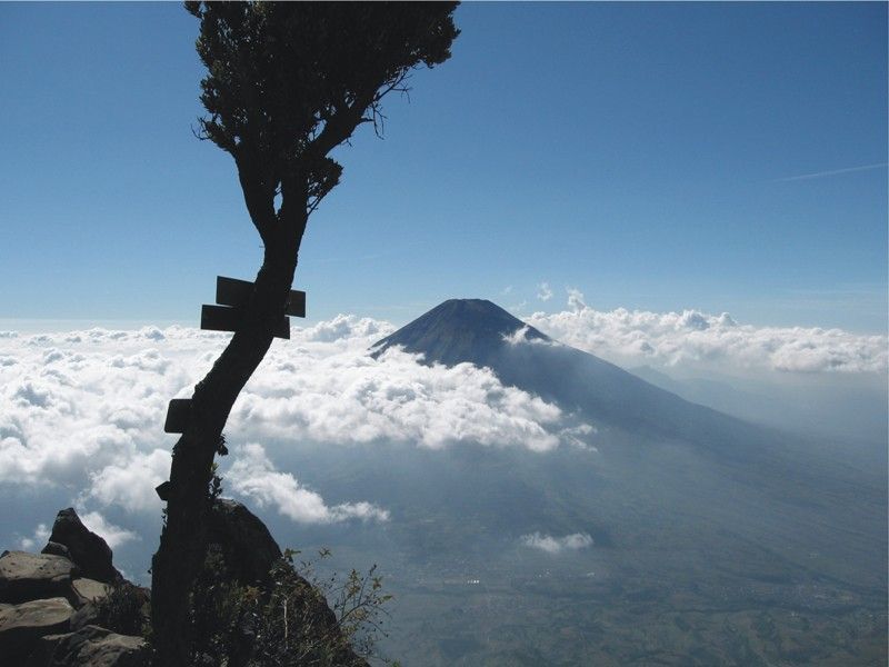 Tips-Tips yang Harus Kamu Baca Sebelum Mencumbui Puncak Gunung