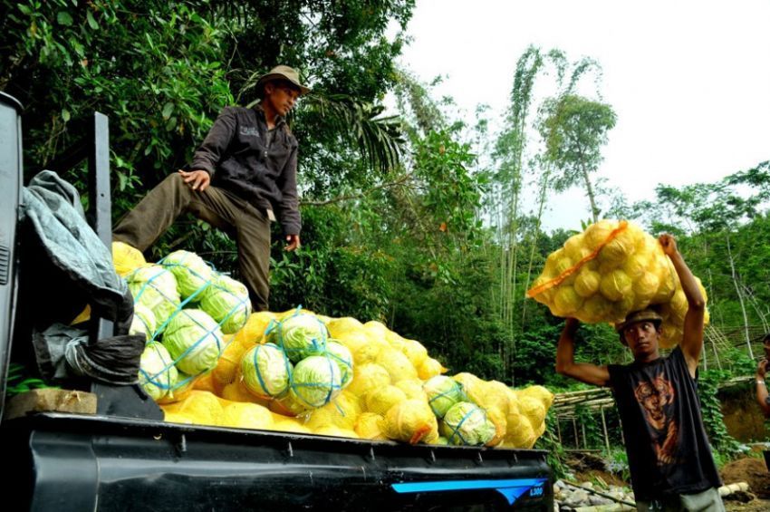 6 Cara Murah yang Bisa Kamu Terapkan Demi Gaya Hidup Sehat